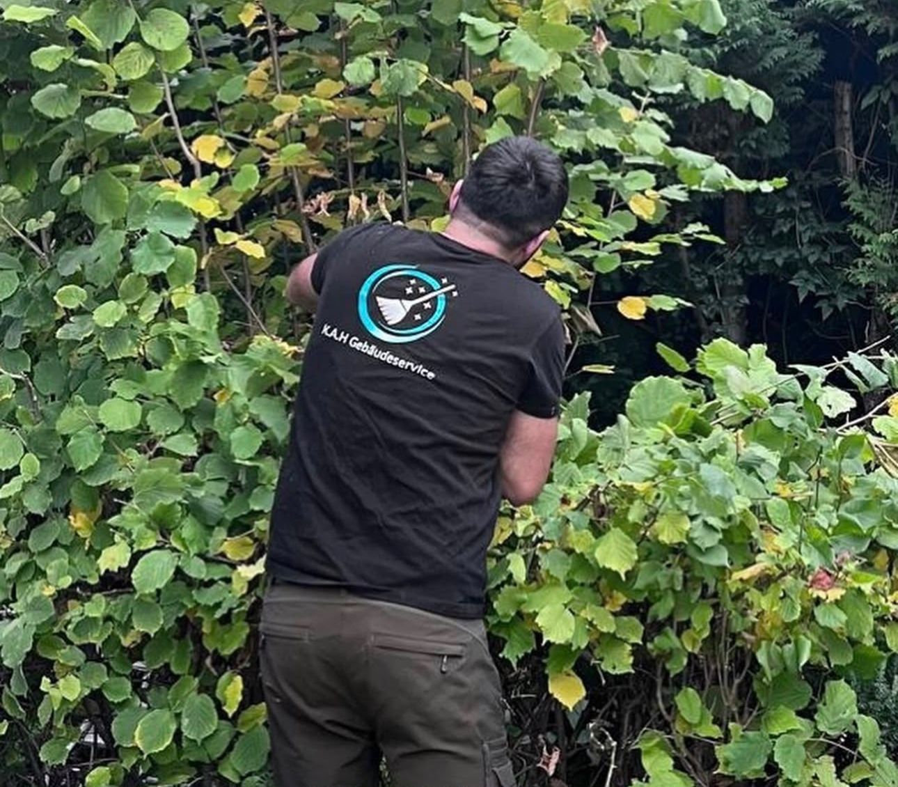Mitarbeiter im K.A.H-Shirt schneidet eine Hecke